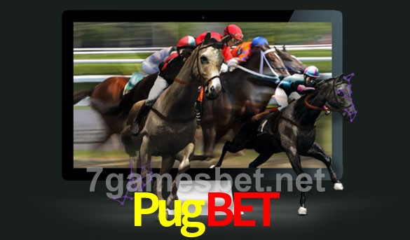  Pugbet
